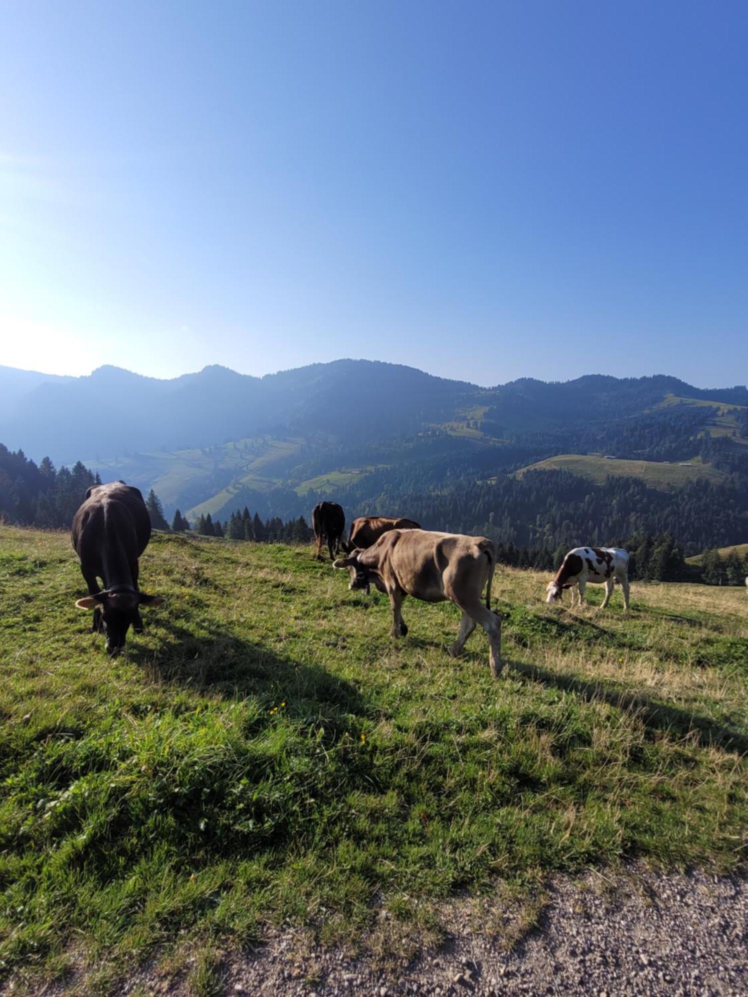 شقة Allgaeublick Wangen im Allgäu المظهر الخارجي الصورة