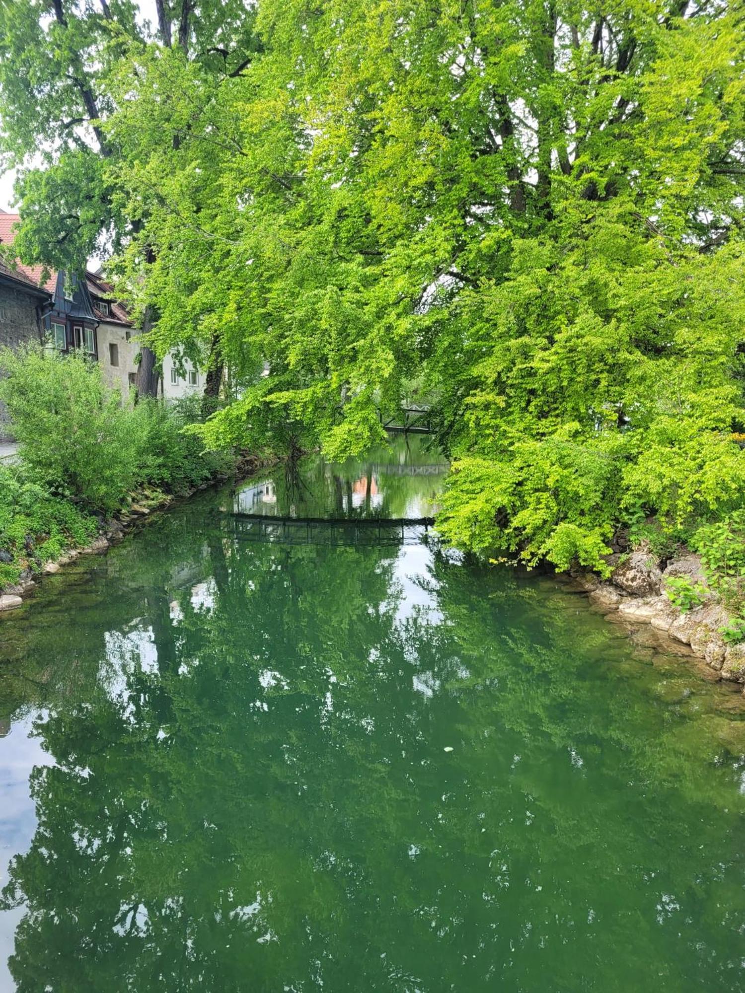 شقة Allgaeublick Wangen im Allgäu المظهر الخارجي الصورة